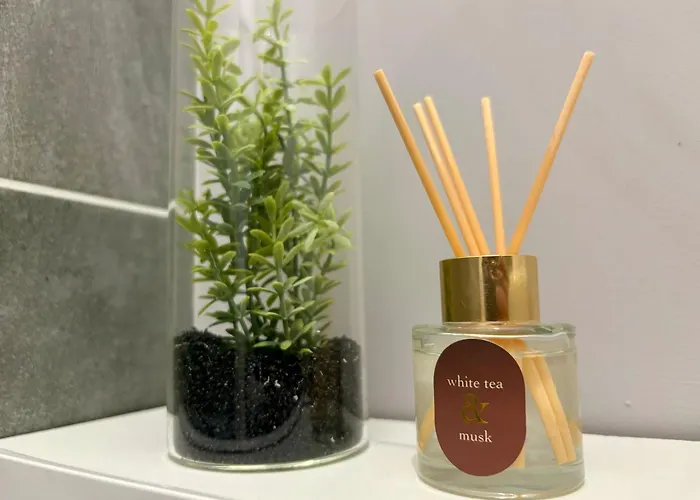 Le Corail, Confort, Centre-ville Appartement *